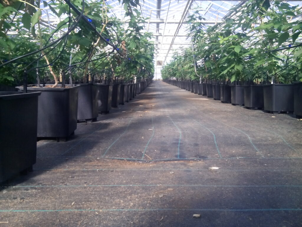 Ύφασμα Εδαφοκάλυψης