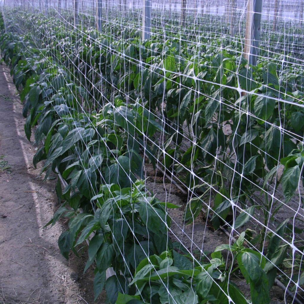 Δίχτυ Αναρρίχησης Φυτών 2,04Χ1000m 