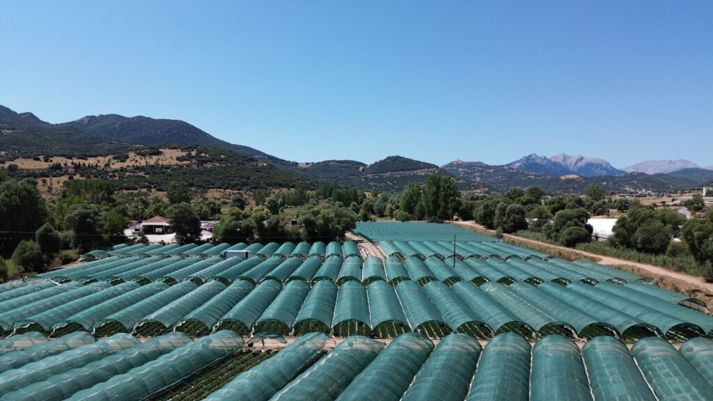 Δίχτυα Σκίασης Καλλιεργιών