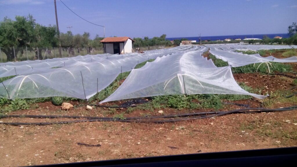 Αντιχαλαζικά Δίχτυα