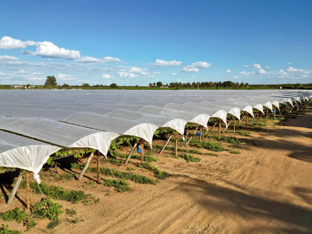 Αντιβρόχινη Μεμβράνη Lingord