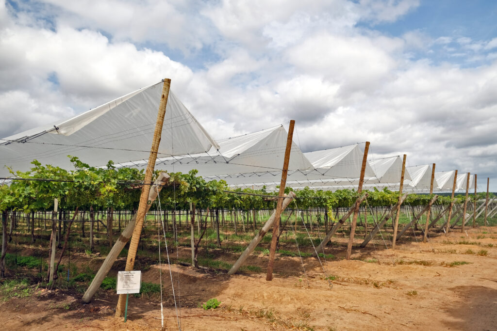 Αντιβρόχινη Μεμβράνη Lingord RGR