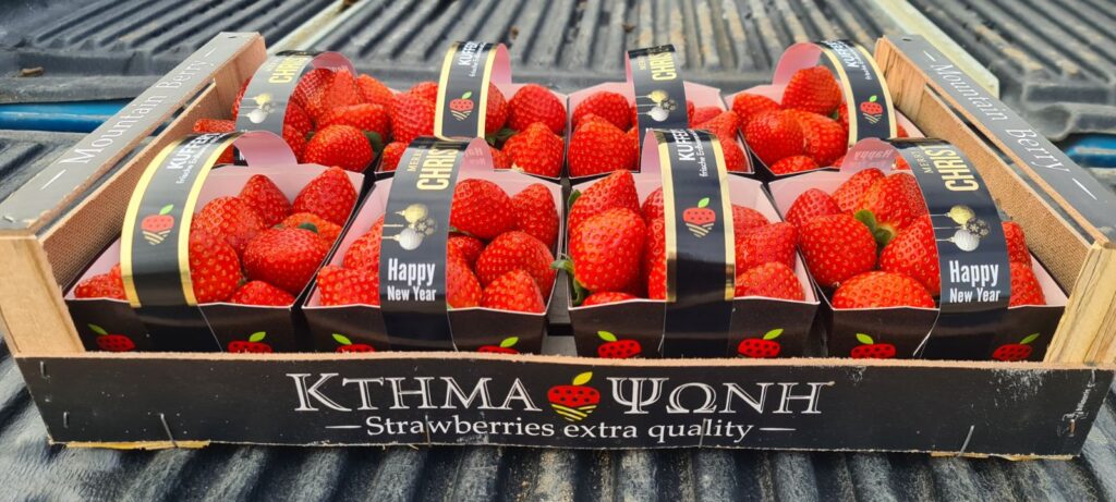 Χάρτινα Διαγώνια Μανίκια (Ταινίες Τελάρων | Χερούλια)