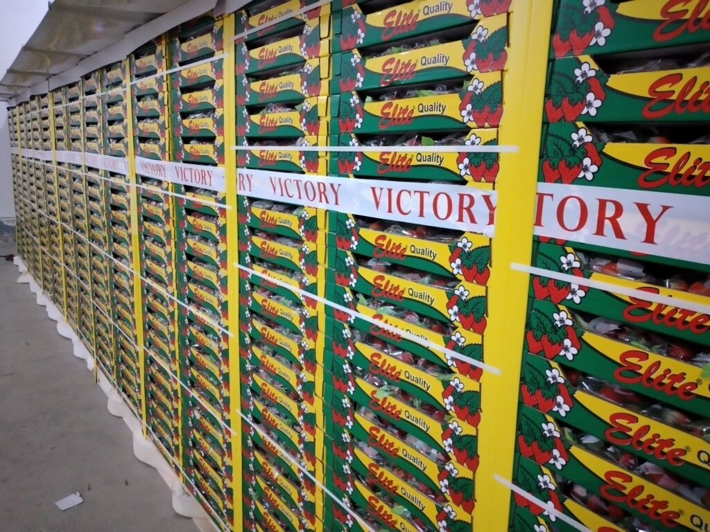 Ταινία Μπαταρόλα Συσκευασίας | Branding & Σταθεροποίηση Παλέτας